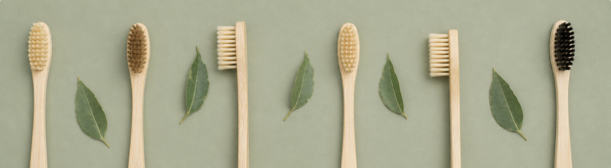 Six toothbrushes on a sage background